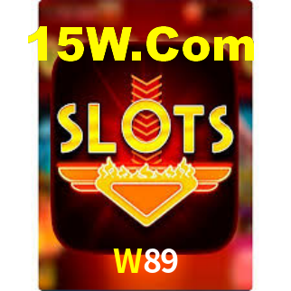 W89 - Installation Guide