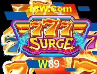 W89 - Support