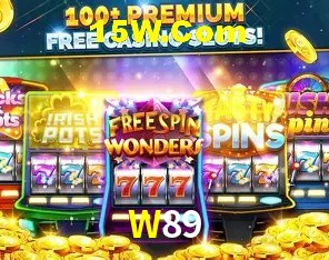 W89 Salvador - Support